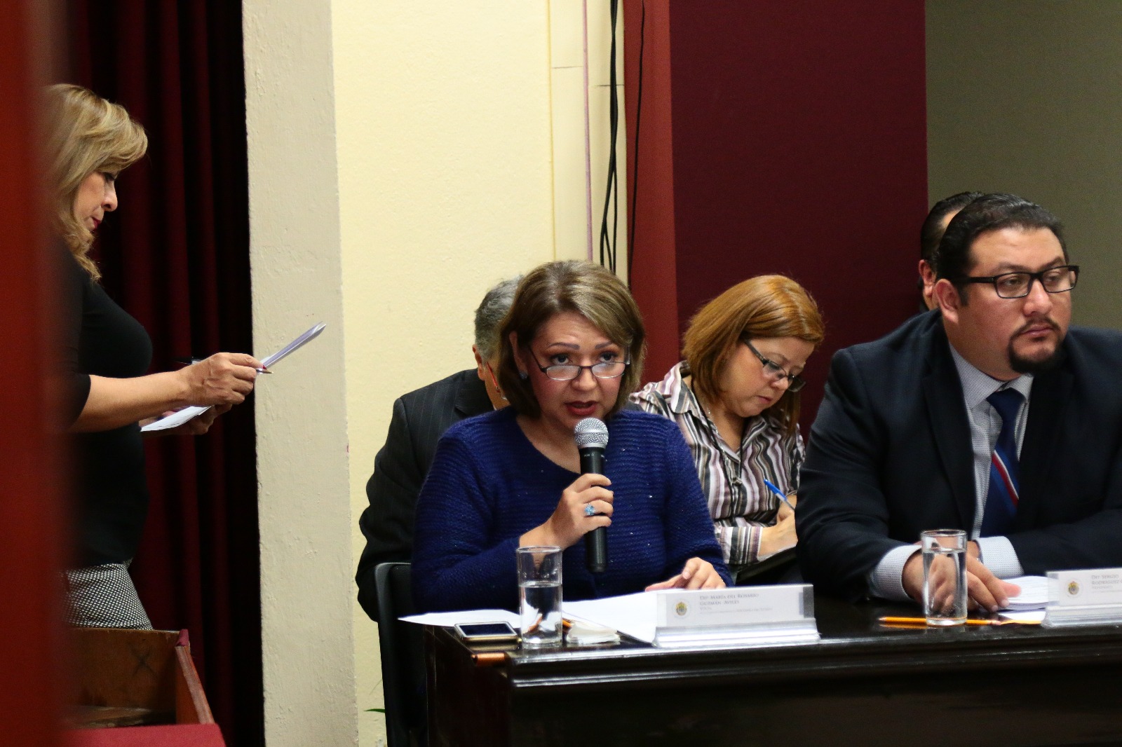 María del Rosario Guzmán Avilés