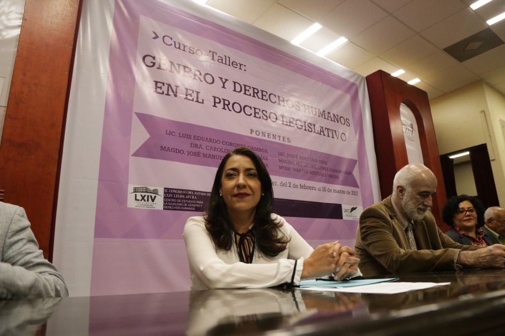 Veracruz debe legislar en materia de género para reducir desigualdad: Teresita&nbsp;Zuccolotto