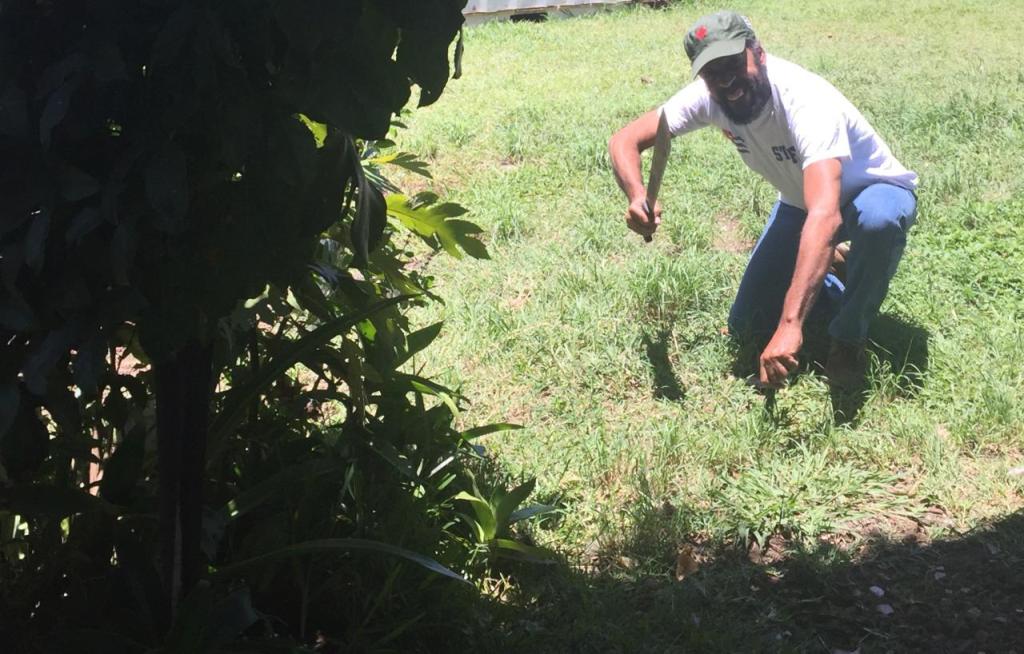 93 años, 93 árboles