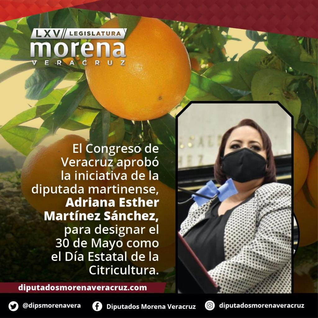 Día de la&nbsp;citricultura