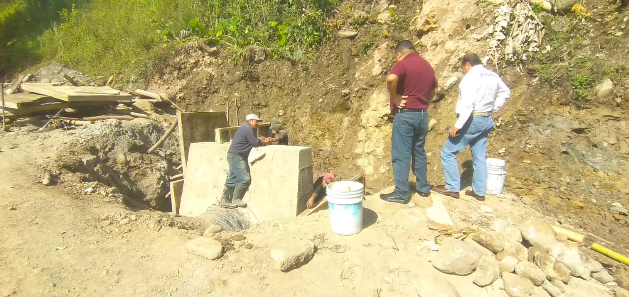 WhatsApp Image 2022-08-20 at 15.12.05