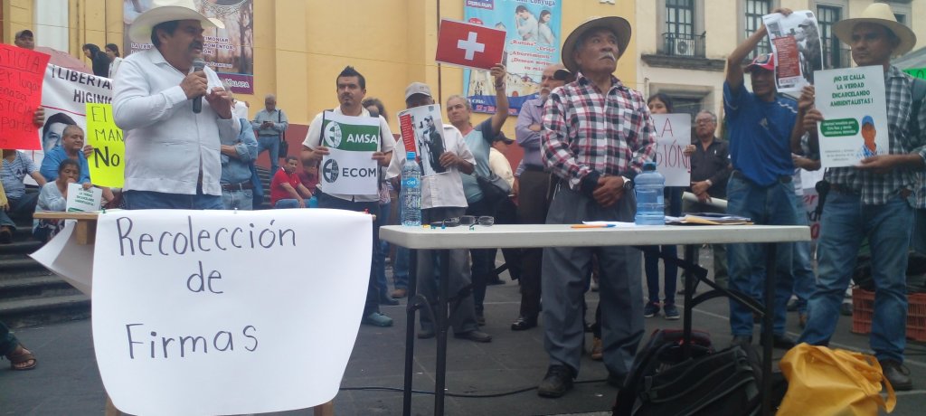 Se plantan Cafetaleros en La&nbsp;Lerdo