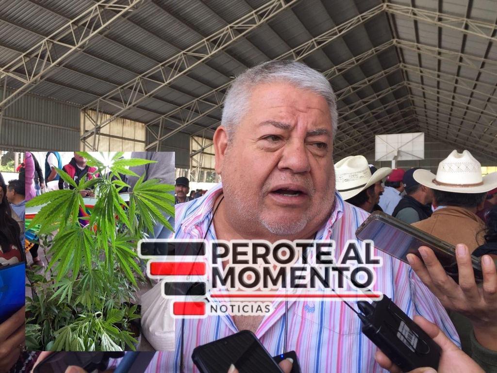 ¡Apoyo para marihuanos!