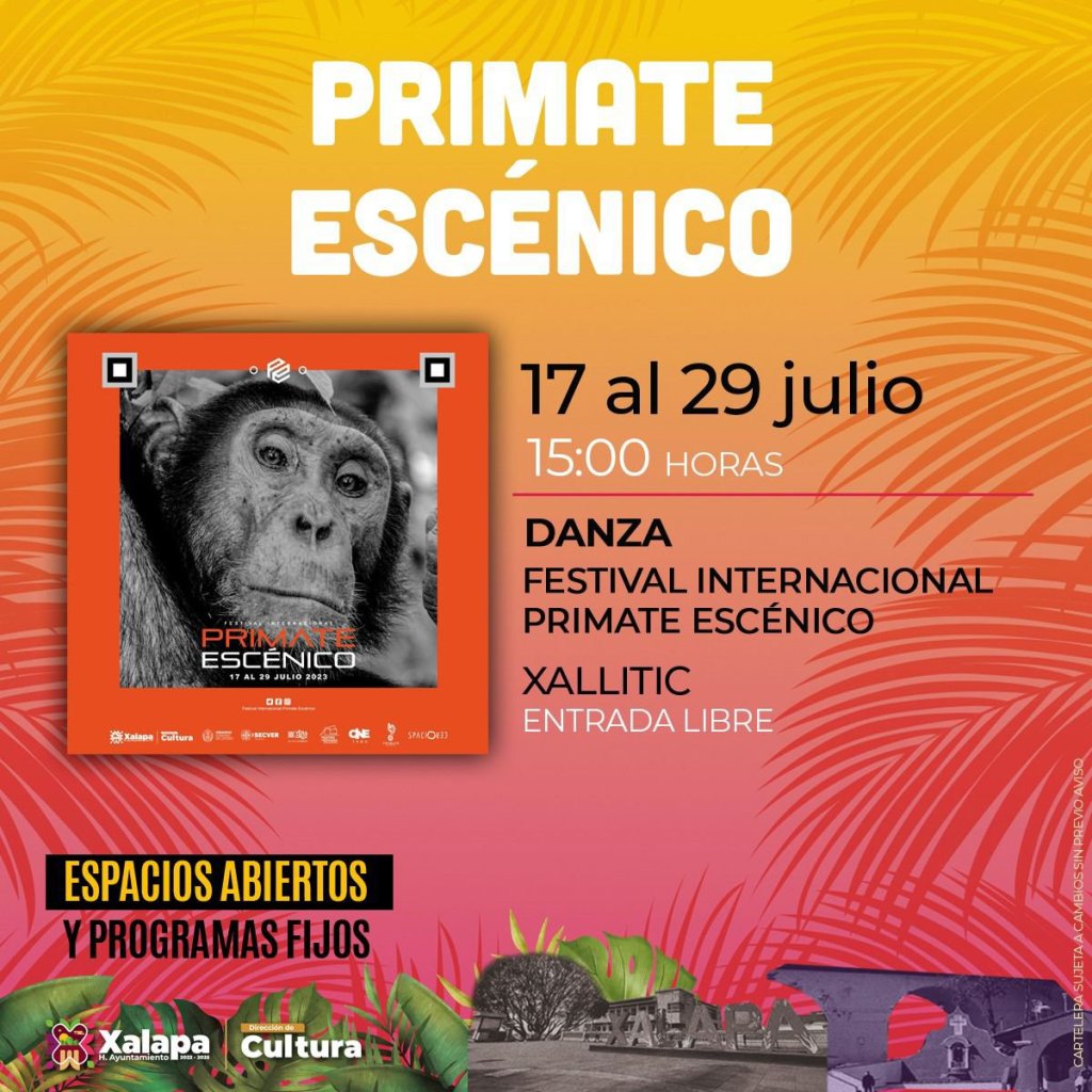 ¡Primate en Xalapa!