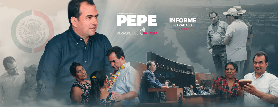 Informe de Actividades de Pepe