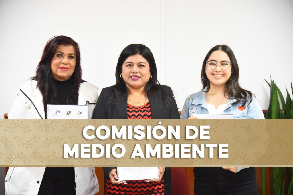 ¿Quién Ganará el Premio al Mérito Ambiental&nbsp;2025?