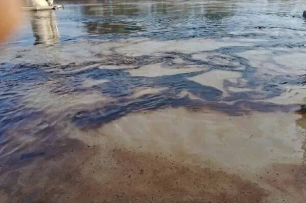 ¡Alarma en Veracruz!